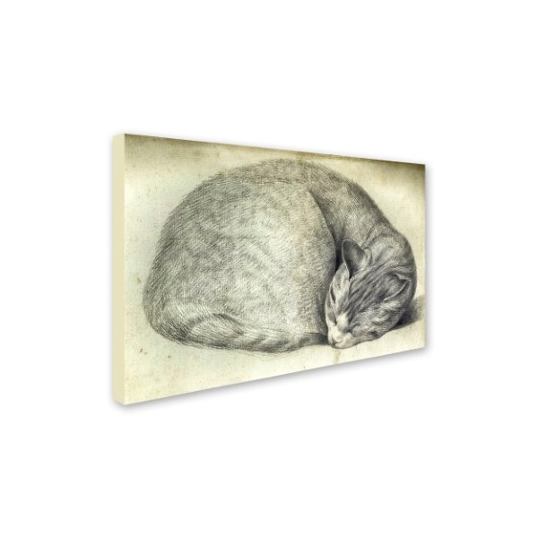Vintage Apple Collection 'Sleeping Cat' Canvas Art,16x24